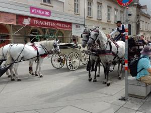 IMG_20220820_110418_86_kl