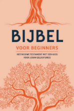 Bijbel_voor_Beginners Nederlands-Vlaams bijbelgenootschap infoberichten maart 2026